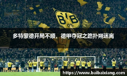 金年会